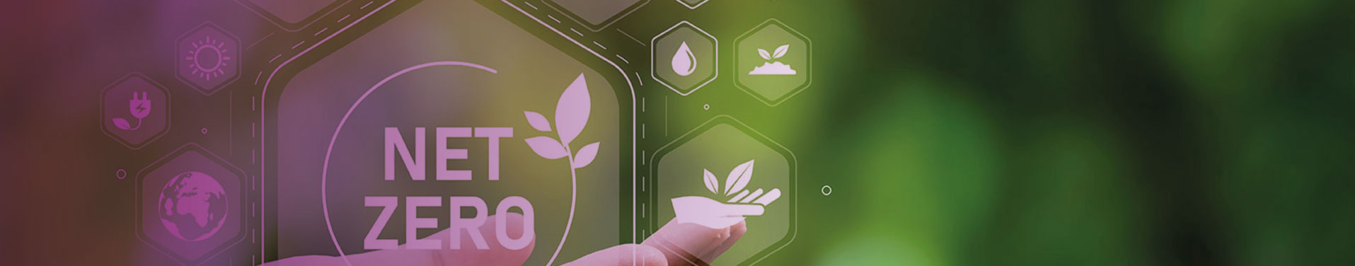 Laying an ambitious road to net zero