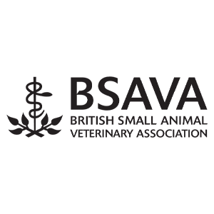 bsava.png
