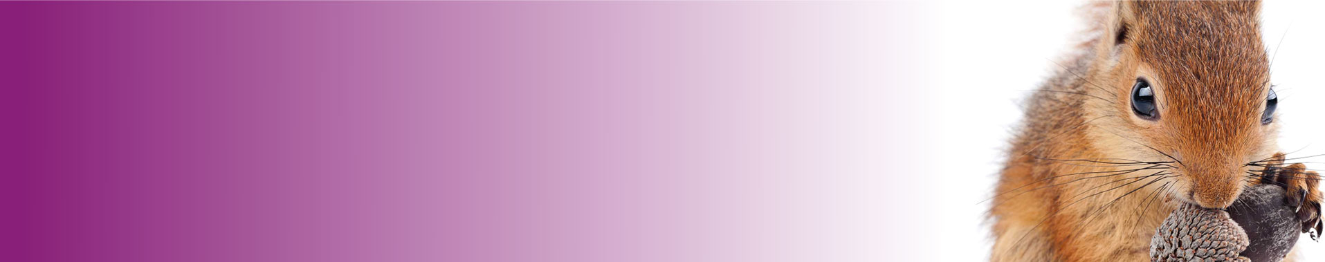 How do we grow our small charity?